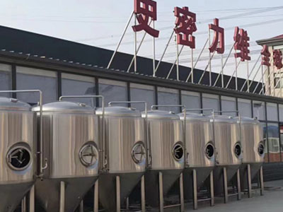 醴陵精酿啤酒设备厂—市场规模与跨界新需求